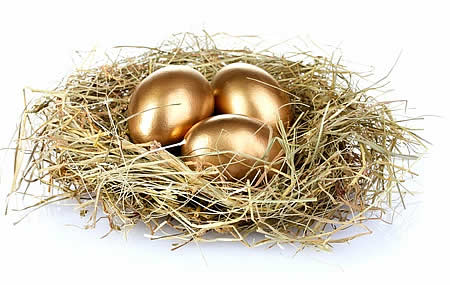 Golden eggs in a nest